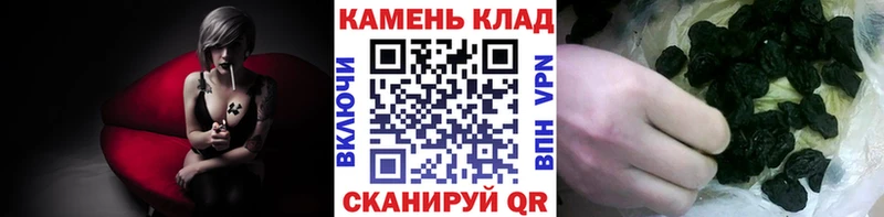 kraken ССЫЛКА  Новотитаровская  Гашиш Cannabis  даркнет сайт 