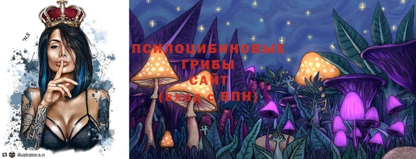 героин Алзамай