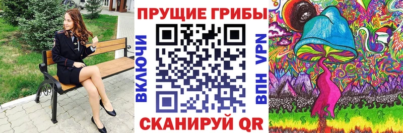 сколько стоит  Новотитаровская  Галлюциногенные грибы Psilocybine cubensis 