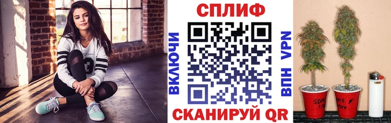 магазин  наркотиков  Новотитаровская  Шишки марихуана гибрид 